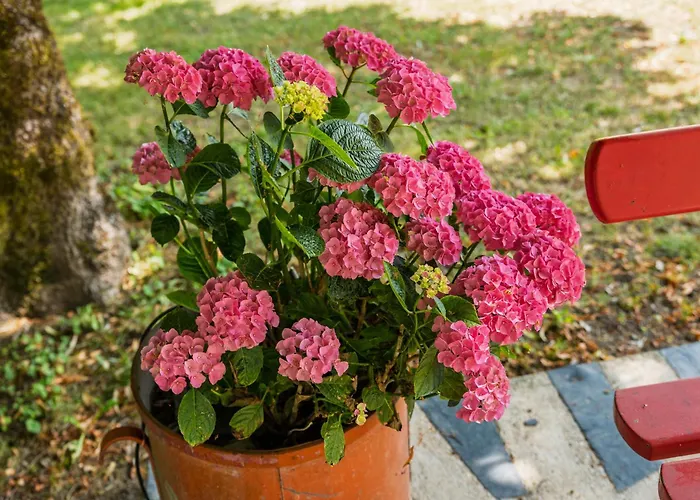 Le Clos De La Capelle * Libourne