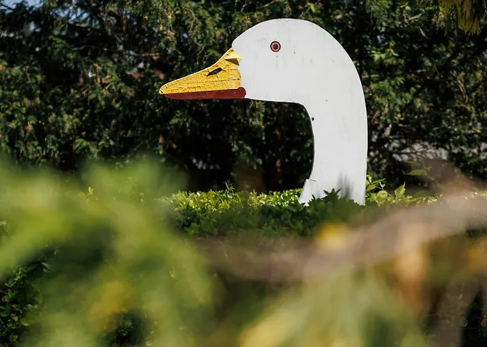 Le Clos De La Capelle * Libourne